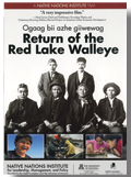 Return of the Red Lake Walleye